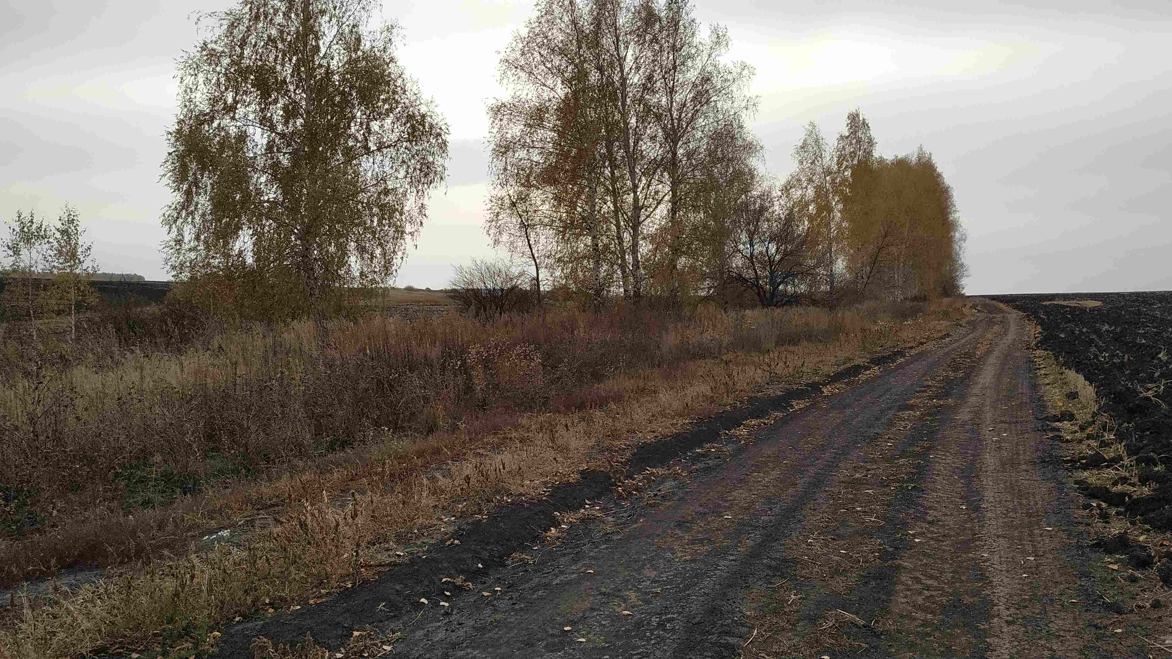 Земельный участок в Республике Татарстан