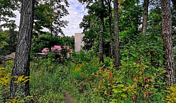 Изображение карточки объекта